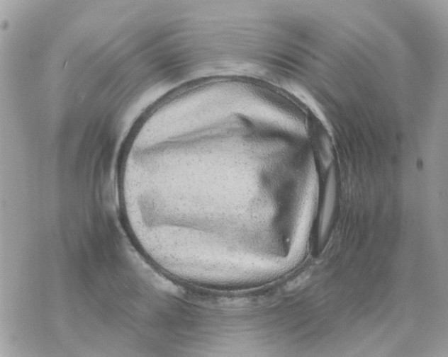 X0000070411080200606302030