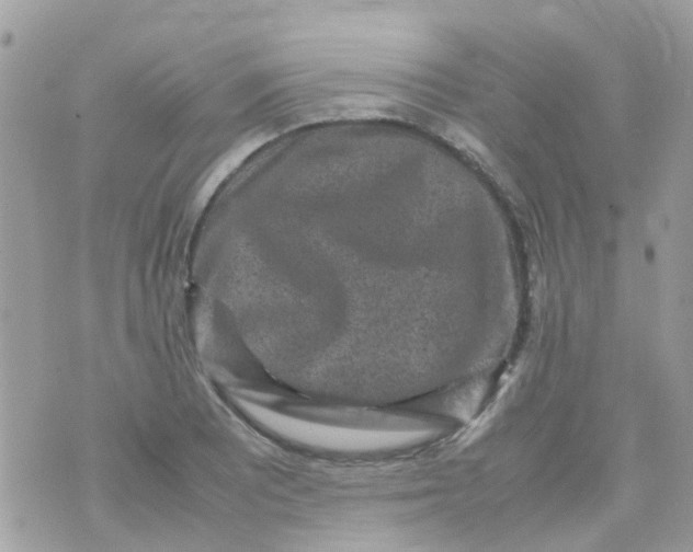 X0000070411081200606302030