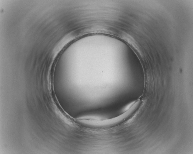 X0000070411082200606302030