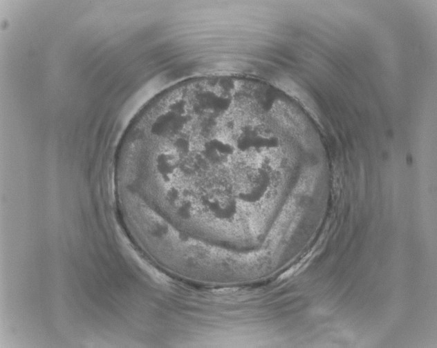 X0000070411083200606302030