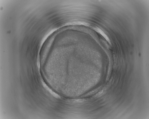 X0000070411084200606302030