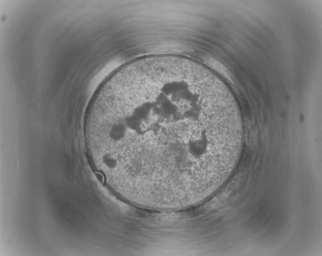 X0000070411087200606302030