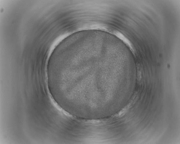 X0000070411088200606302030