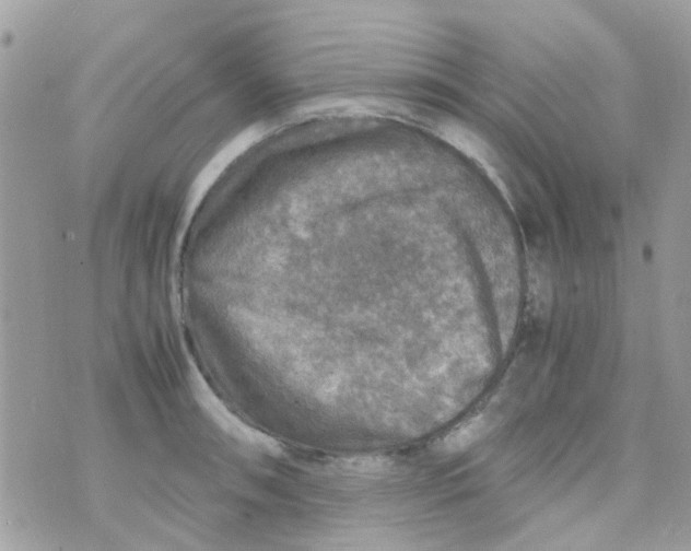 X0000070411090200606302030