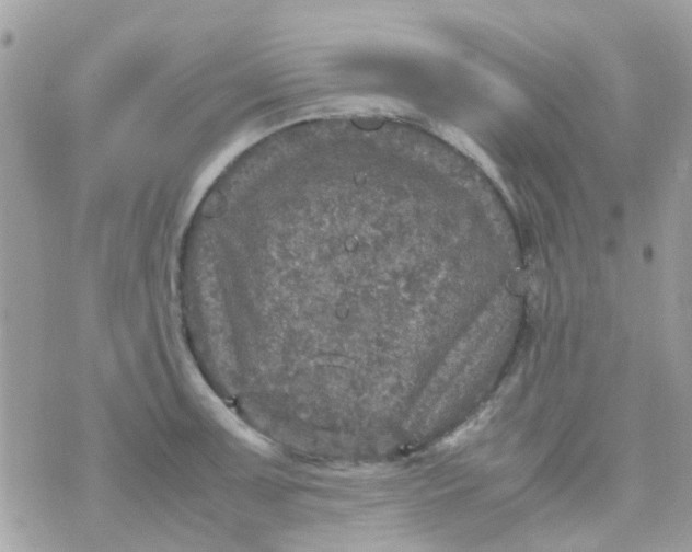 X0000070411091200606302030