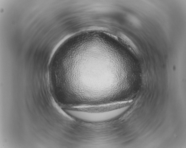 X0000070411092200606302030