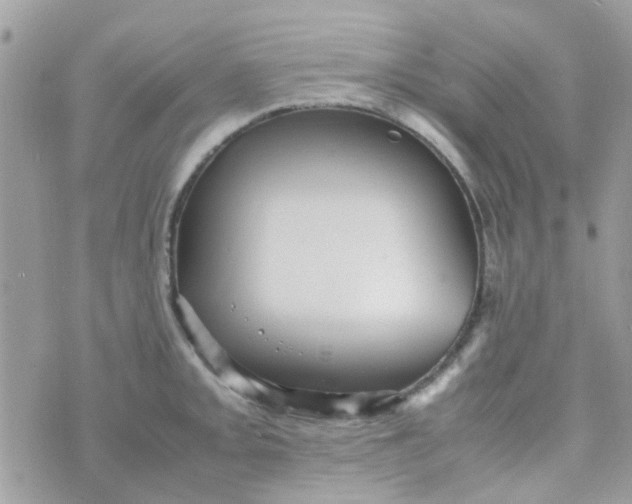 X0000070411093200606302030