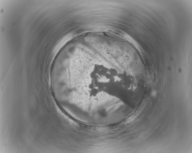 X0000070411095200606302030