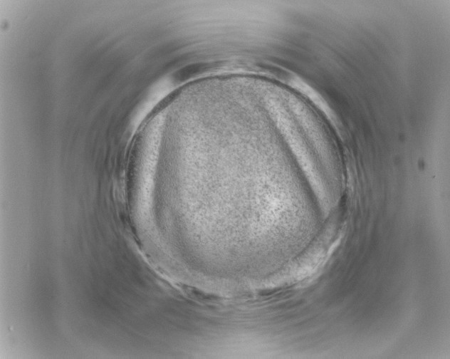 X0000070411097200606302030