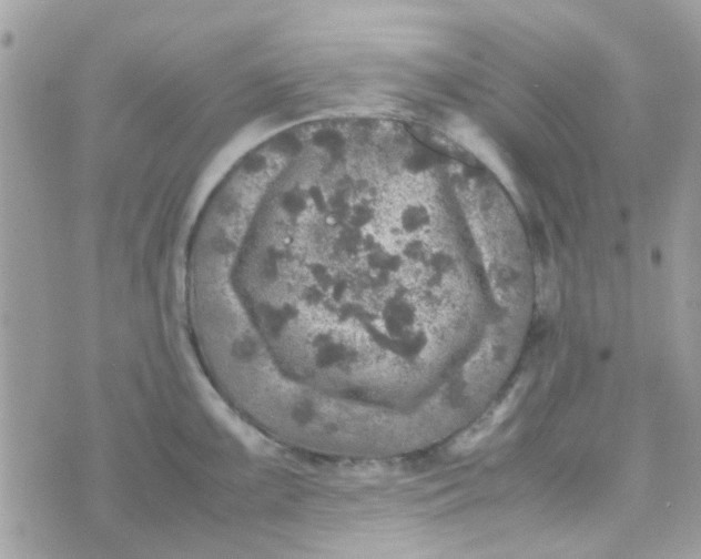 X0000070411099200606302030