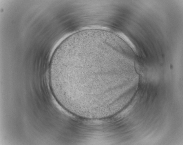 X0000070411100200606302030