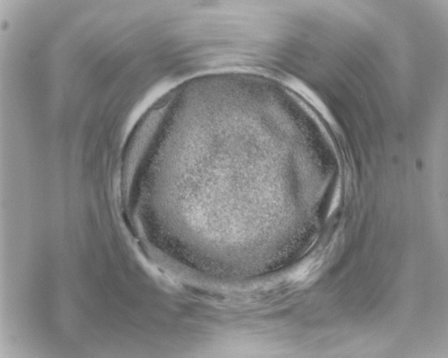 X0000070411101200606302030