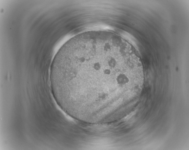 X0000070411103200606302030