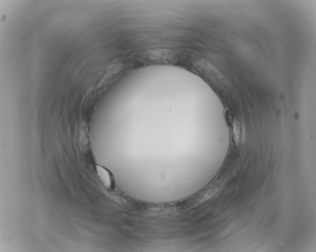 X0000070411107200606302029