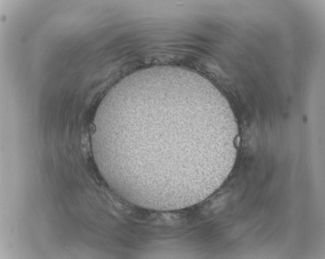 X0000070411109200606302029