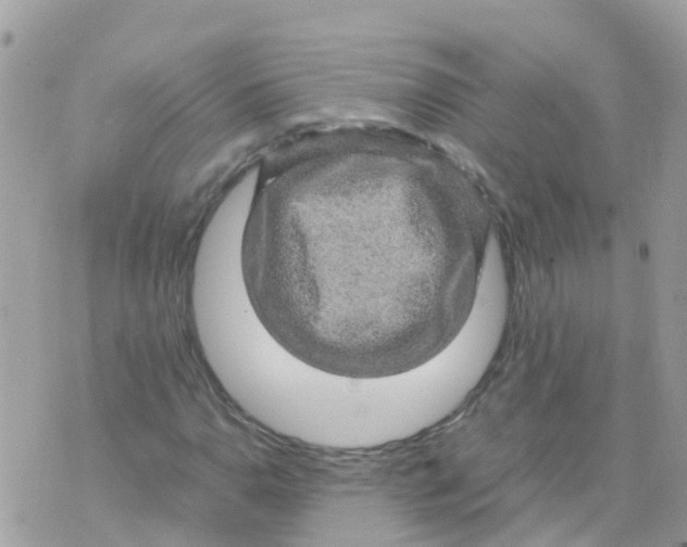 X0000070411110200606302029