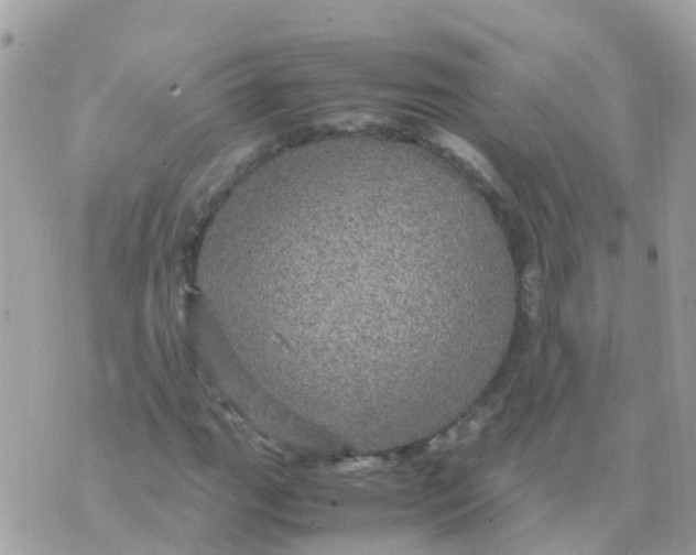 X0000070411111200606302029