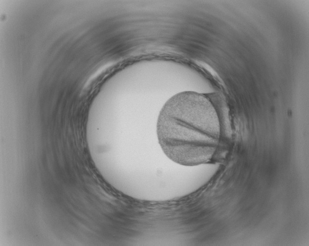 X0000070411112200606302029