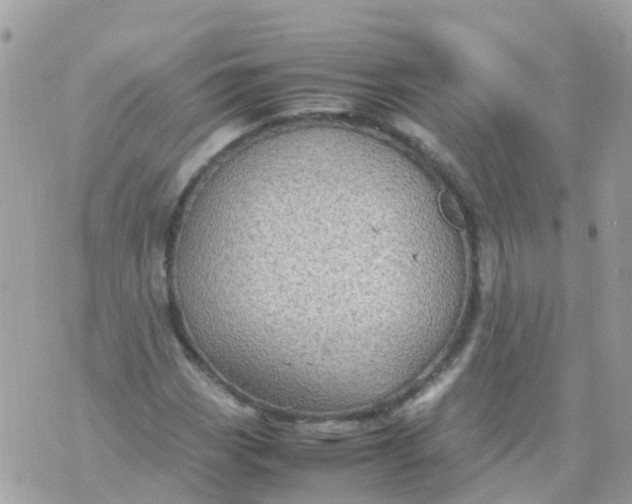 X0000070411113200606302029