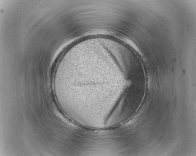 X0000070411116200606302029