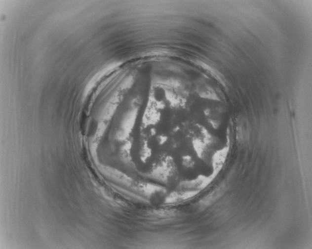 X0000070411117200606302029