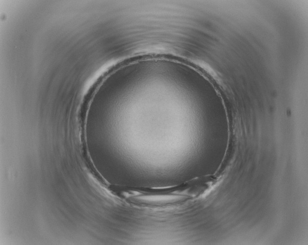 X0000070411118200606302029