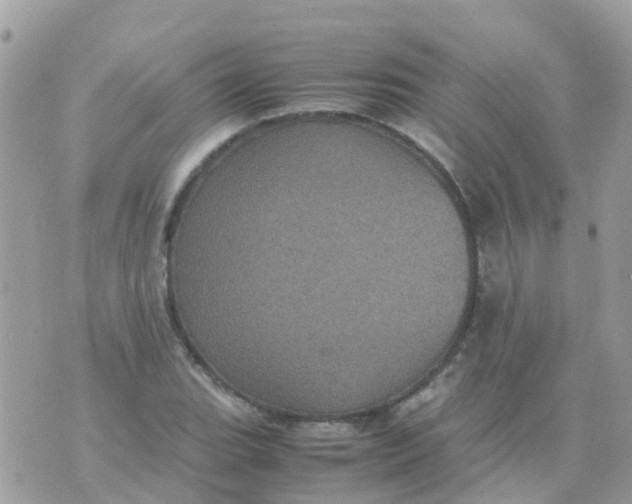 X0000070411119200606302029