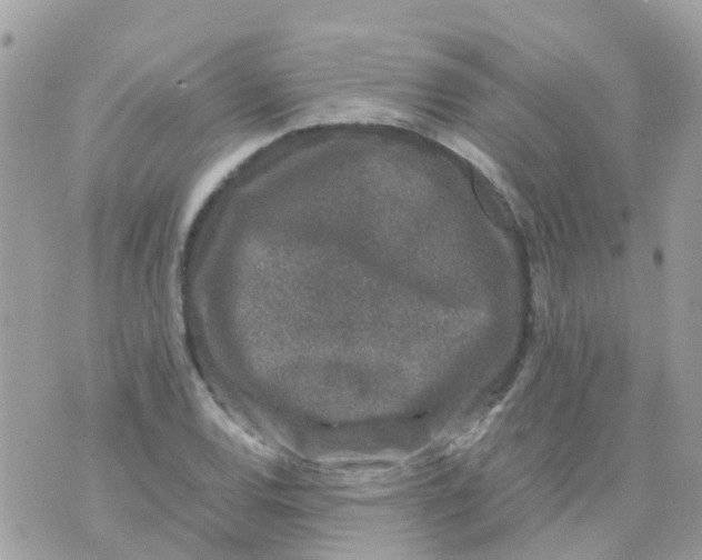 X0000070411120200606302029