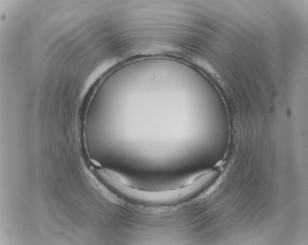 X0000070411122200606302029