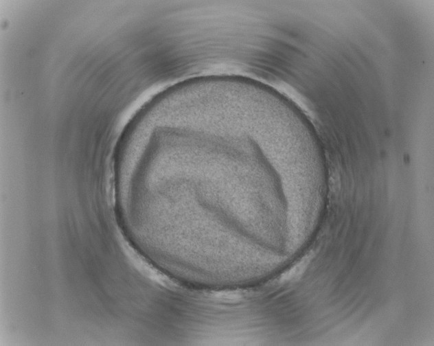 X0000070411126200606302029