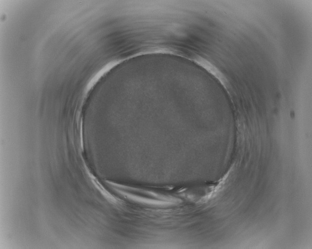 X0000070411127200606302029