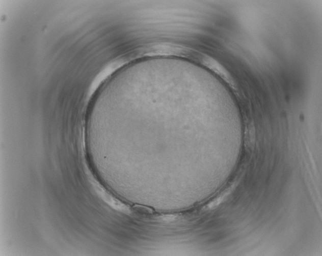 X0000070411130200606302029