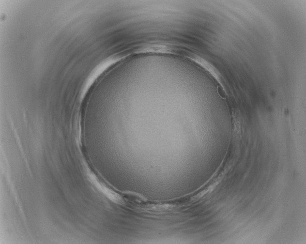 X0000070411131200606302029