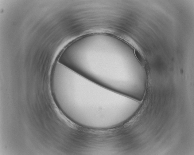 X0000070411132200606302029