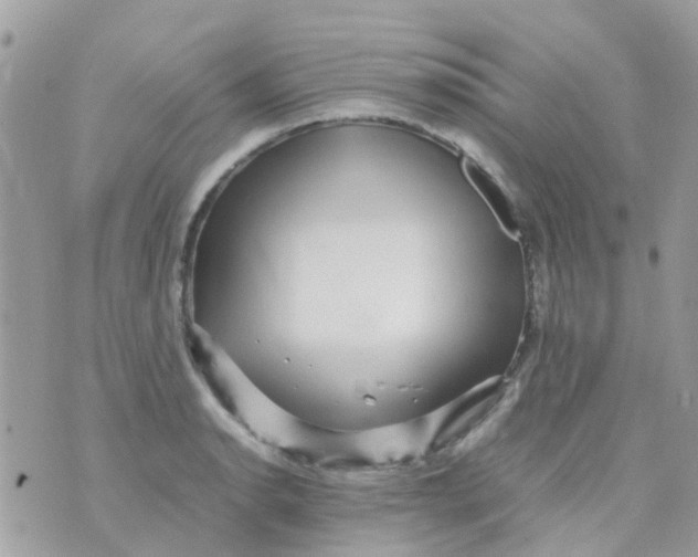 X0000070411134200606302030