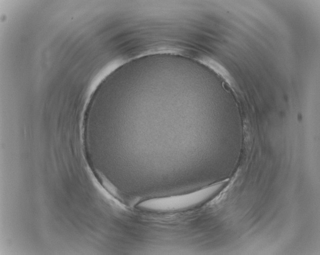 X0000070411135200606302030