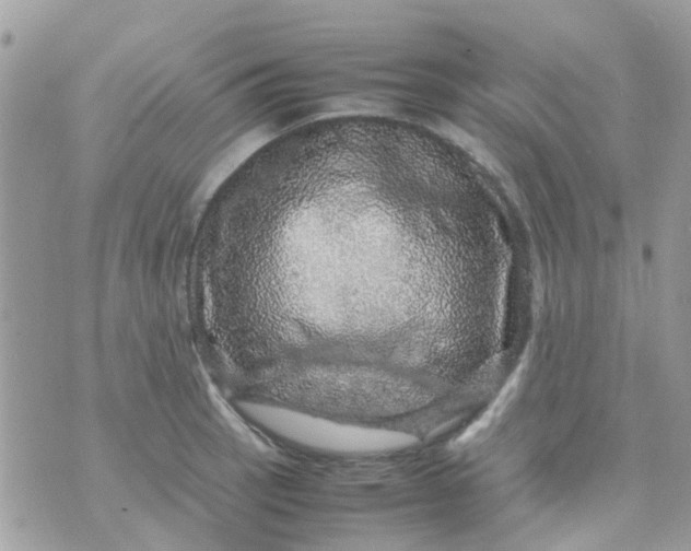 X0000070411137200606302030