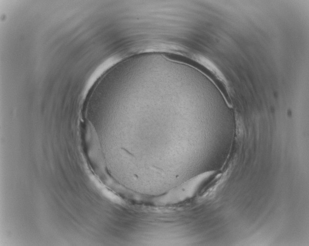 X0000070411138200606302030