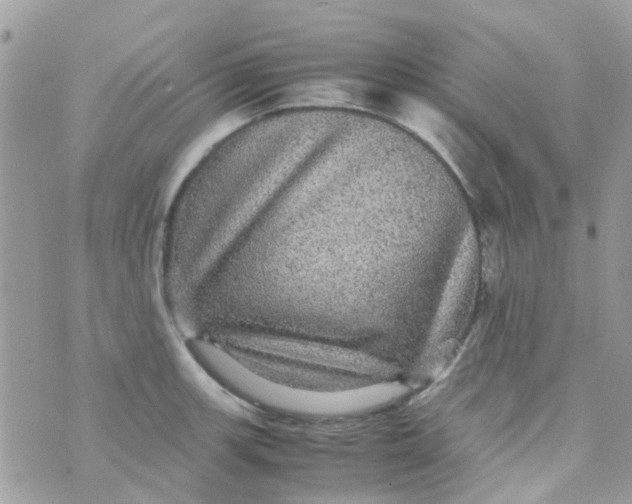 X0000070411139200606302030