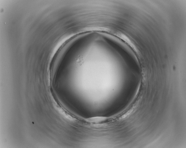 X0000070411140200606302030