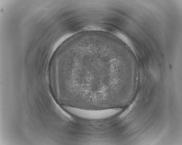 X0000070411141200606302030