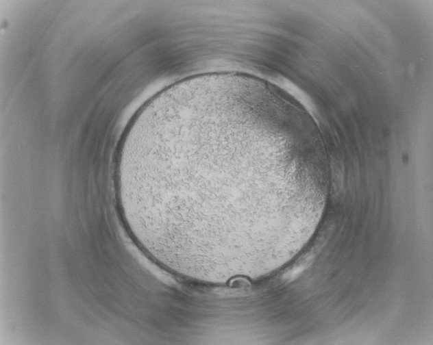 X0000070411142200606302030