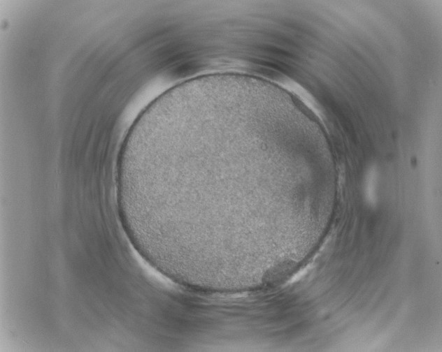 X0000070411143200606302030