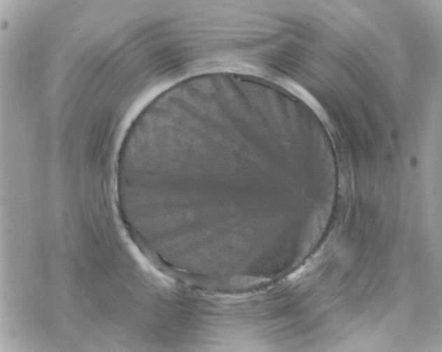 X0000070411144200606302030