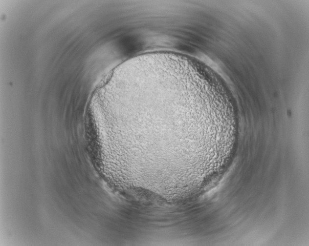 X0000070411145200606302030