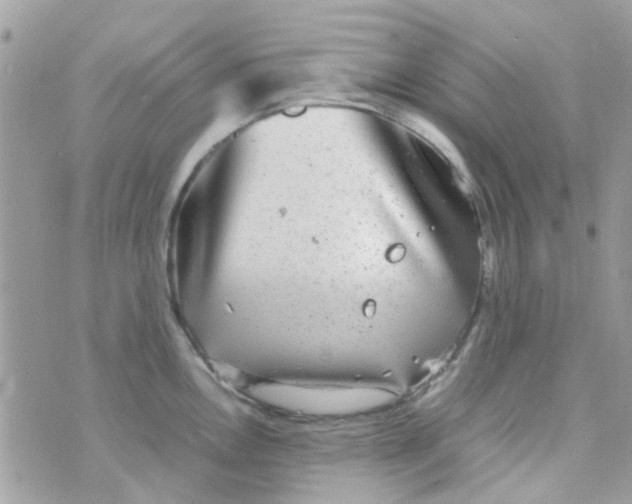 X0000070411146200606302030