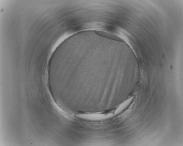 X0000070411147200606302030