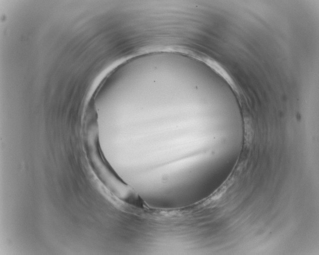 X0000070411148200606302030