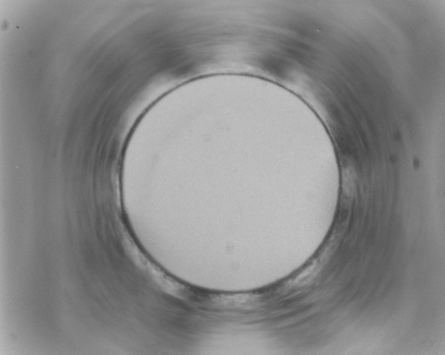 X0000070411150200606302030