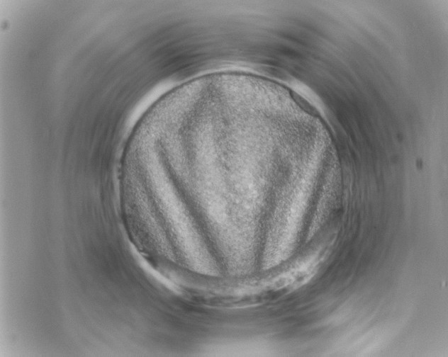 X0000070411151200606302030